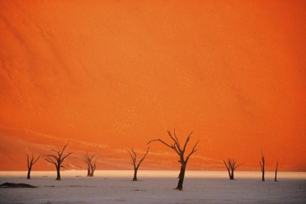 sossusvlei-namib-desert