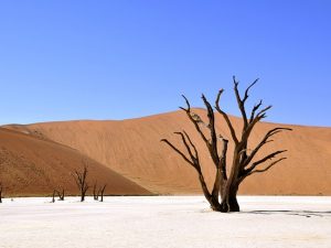 namibia-desert