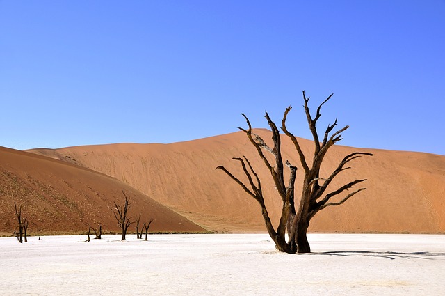 namibia-desert