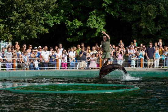 Budapest Zoo events